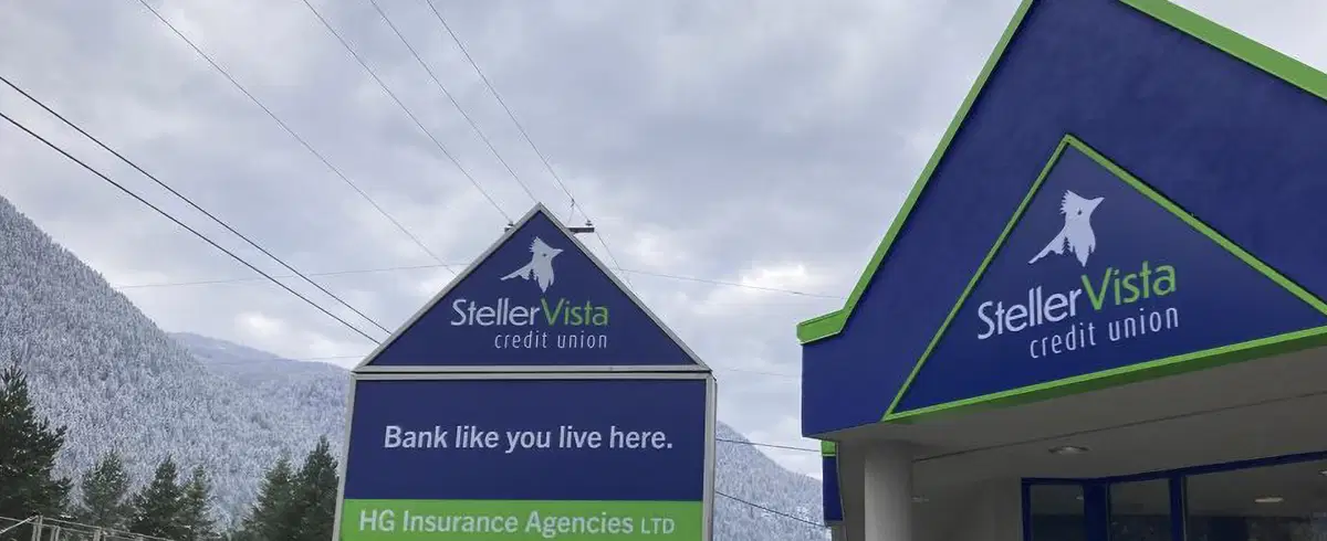 hero-stellervista