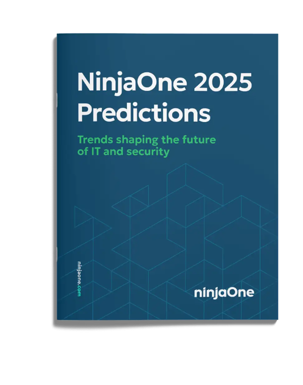 NinjaOne 2025 Predictions
