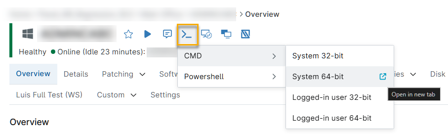 CLI_LaunchCLI_Windows.png